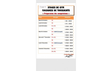 Stages « Compétition » - Vacances de la Toussaint